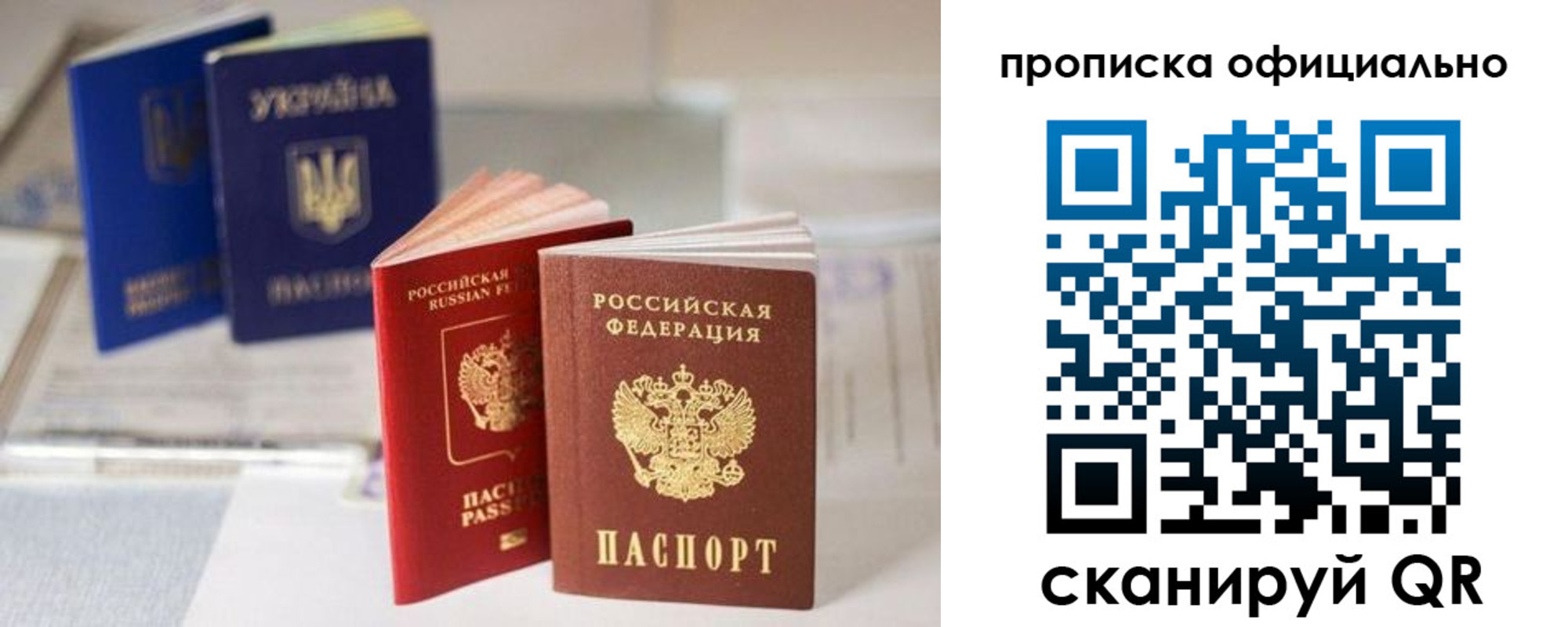 прописка поиск в Ростове-на-Дону